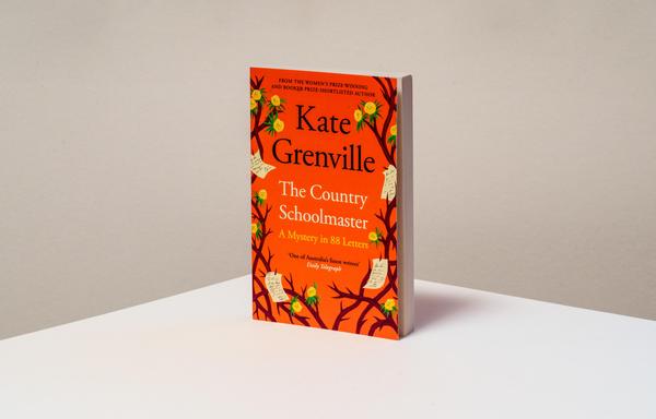 The book - a paperback photographed standing in front of a plain background.
