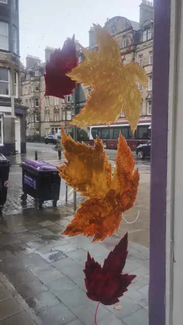Looking out into a rainy, autumn day outside the Edinburgh Bookshop, past the large, colourful autumn leaves painted on the glass.
