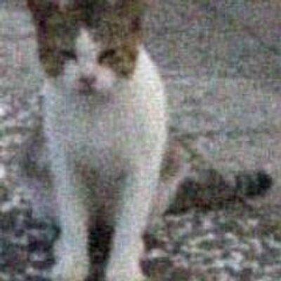 altarf@mastodon.social