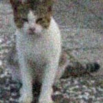 altarf@mastodon-japan.net