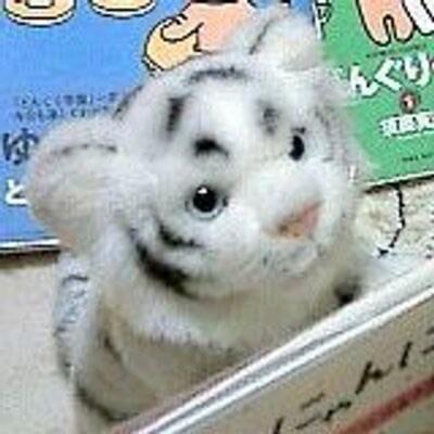 nilab.bsky.social@bsky.brid.gy