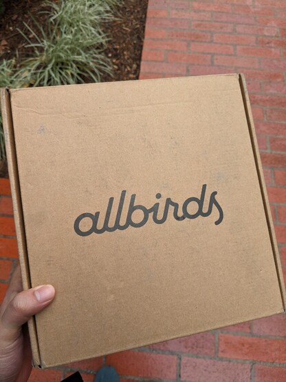 Allbirdsと書いてある30センチ四方ほどの箱